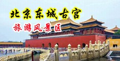 小骚逼好痒，啊啊啊视频中国北京-东城古宫旅游风景区